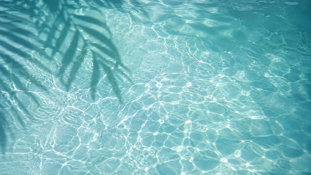 Blue swimming pool water surface with tropical palm leaf shadow