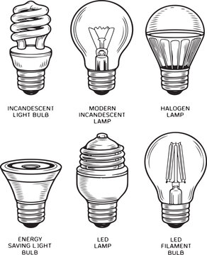 Collection of modern light bulbs including energy saving led halogen incandescent and filament lamp styles as graphic icons.