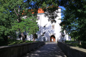 Zamek w Szydłowcu  © Monika