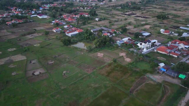 Aerial View of Agricultural Rice Fields Bordering Dense Residential Area in Indonesia