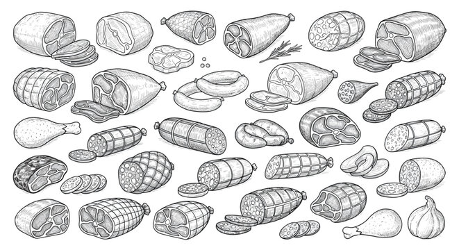 Detailed hand drawn sketches of various deli meats, sausages, and hams for butcher shop menus and gourmet food packaging design concepts.