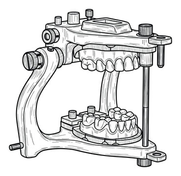 Dental articulator with plaster models of upper and lower jaw teeth for dentistry education or professional use