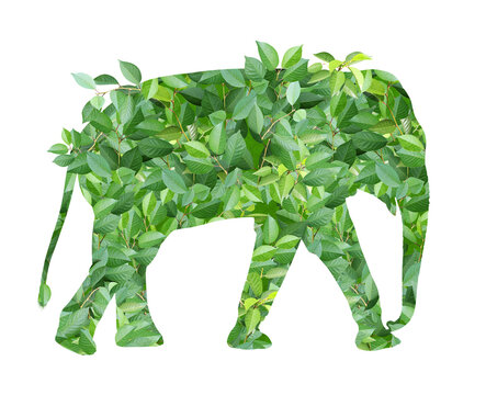 Elephant silhouette made of green leaves. Ecology, global ecological resource, go green concept. Environmental conservation, wildlife protection, Eco-friendly, Green Energy. Isolated on white