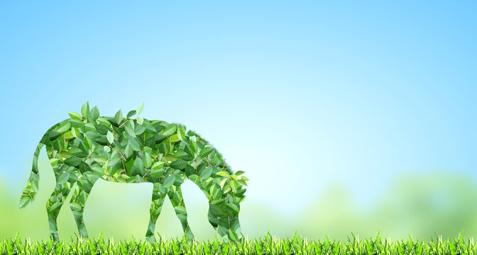 Zebra silhouette made of green leaves on sunny background. Ecology, global ecological resource, go green concept. Environmental conservation, wildlife protection, Eco-friendly, Green Energy