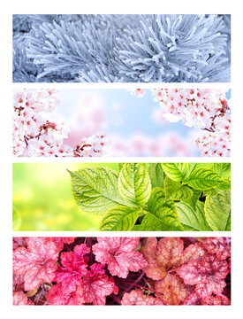 Four season of year. Set of horizontal nature banners. Each one features scene of nature, from the gentle snowfall of winter to the vibrant leaves of summer. Perfect for showcasing changing seasons