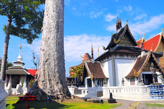 Famous sightseeing landmark Wat Chedi Luang Temple complex, Chiang Mai, Thailand. Wat Chedi Luang is a Buddhist temple in historic center of Chiang Mai. Topic of vacation, travel, trip, cruises, tour