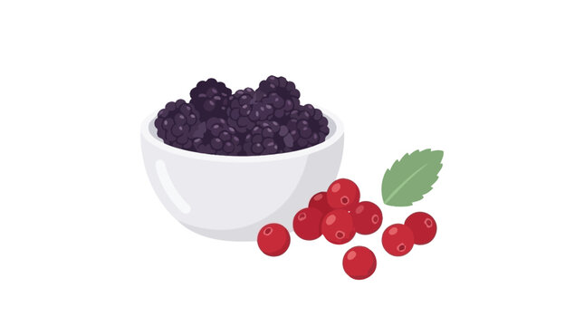 Vector illustration of fresh blackberries in a white bowl, with cranberries and a mint leaf, perfect for healthy eating designs and natural food concepts
