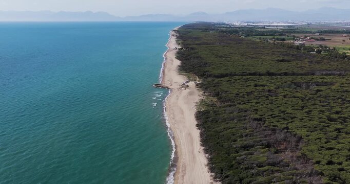 Aerial view of a long sandy beach coastline bordered by a dense pine forest and turquoise sea under a clear sky in Capaccio, Campania, Italy.