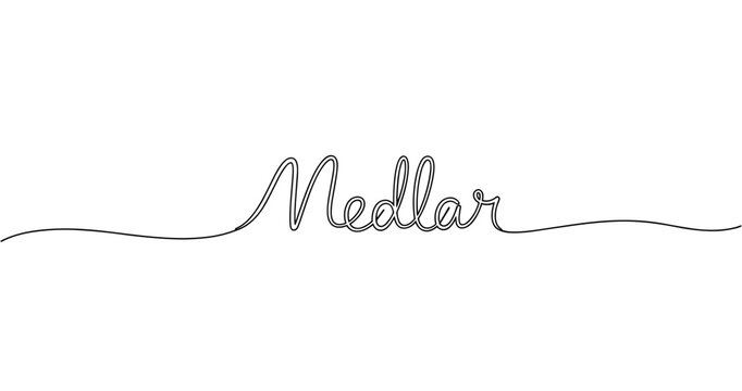 Elegant cursive script of the word medlar on white background. No editable strokes