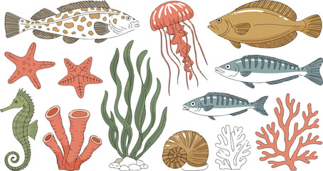 Marine life collection featuring fish jellyfish seahorse starfish coral and seaweed hand drawn vector illustration isolated design © Mousumi