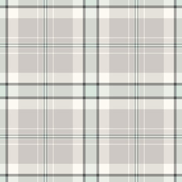 Vibrant background texture textile, rough pattern check tartan. Border seamless plaid vector fabric in white and grey colors.