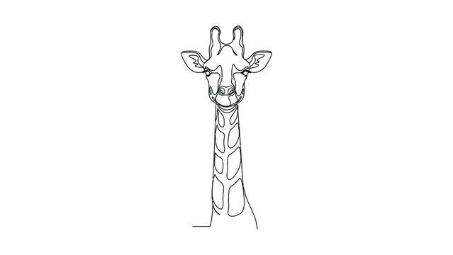 Minimalist continuous line drawing of a majestic giraffe head and long neck.