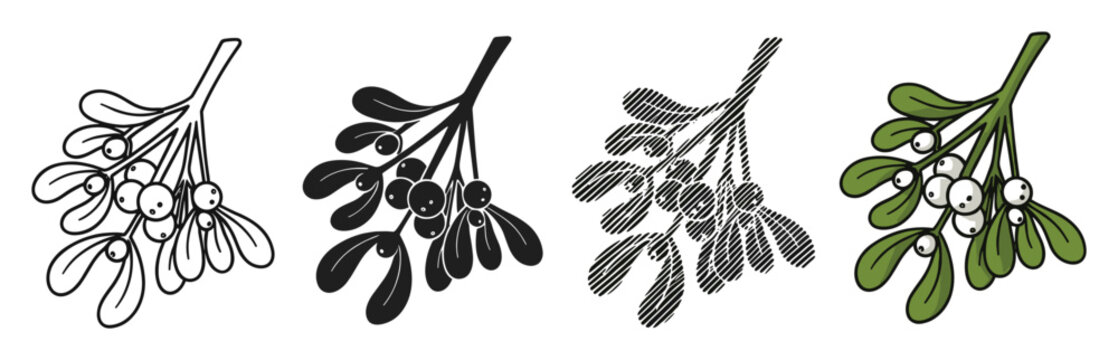 Decorative mistletoe sprigs in outline, silhouette, and colored versions for festive seasonal designs