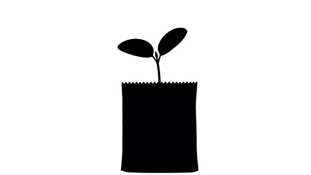 One line vector animation of a small sprout emerging from the soil, illustrating life and development. Clean and elegant design emphasizing natural growth.