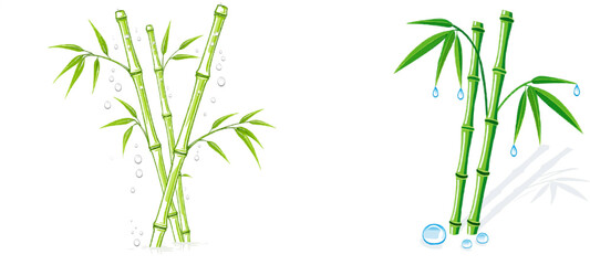 Fototapeta premium Morning dew glistens on the slender bamboo stalks, their jade green hues contrasting with the misty grey backdrop in this serene vector illustration