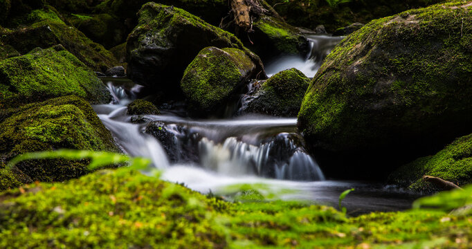 Silky smooth waterfall flowing over moss covered rocks in Black Forest stream near Ottenh&ouml;fen, long exposure nature photography Germany