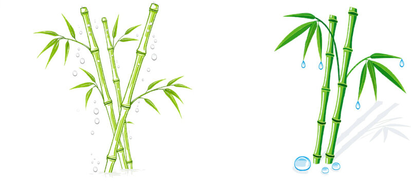 Morning dew glistens on the slender bamboo stalks, their jade green hues contrasting with the misty grey backdrop in this serene vector illustration