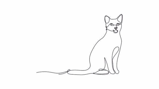 One-line vector animation of a sitting cat with smooth flowing lines, symbolizing grace and calmness in minimalist black and white