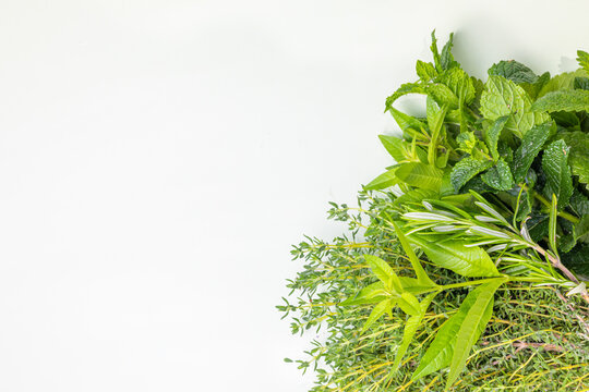 A bright, fresh studio photograph featuring an abundant arrangement of mixed fresh herbs grouped in the right portion of the frame against a clean white background, leaving generous negative space to 