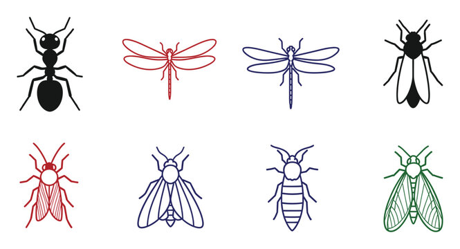 Insect and bug species outline icons for educational graphics related to biology and nature