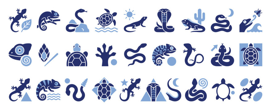 Collection of flat blue reptile and amphibian icons for natural wildlife design resources