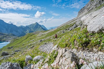 Obraz premium Female hiker with backpack and dog walking on mountain trail above Butzensee lake, Mohnenfluh and Braunarlspitze peaks in the background, Arlberg region, Vorarlberg, Austria