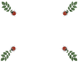 Lady bug and leaf illustration  © ika