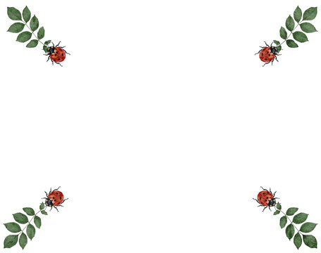 Lady bug and leaf illustration 
