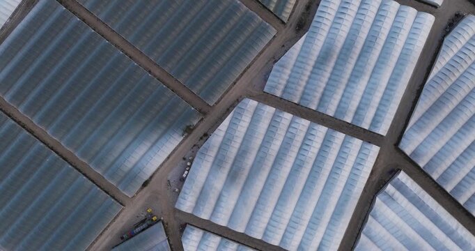 Aerial view of large industrial greenhouses with translucent roofs and geometric patterns separated by narrow dirt roads in Paestum, Campania, Italy.