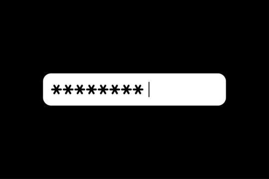 Password input field with hidden characters