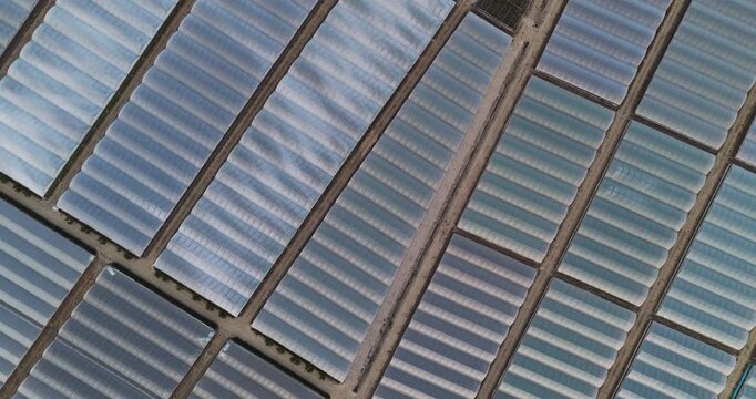 Aerial view of large industrial greenhouses arranged in a geometric grid pattern with translucent plastic roofs in Paestum, Campania, Italy.