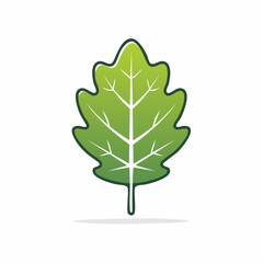 Fototapeta premium Green Leaf Icon