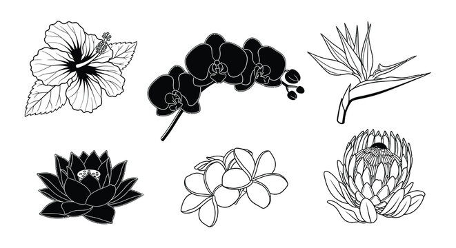 Black and white floral icons with various flowers