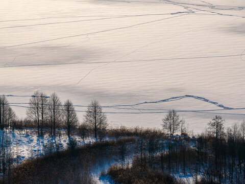 Aerial view of a vast snow-covered field with intricate tracks and footprints near a line of leafless trees under soft winter light in Lithuania.