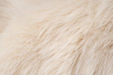 Beautifully detailed abstract backgrounds of luxurious light beige fluffy soft delicate animal fur material © reddish