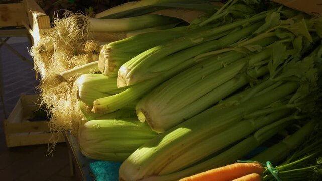 Fresh celery stalks at local market stall