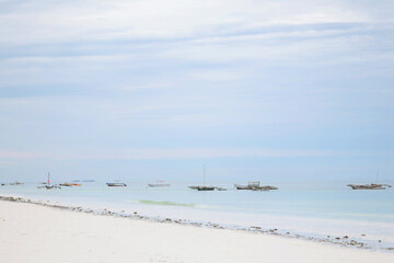 Obraz premium beach in Zanzibar