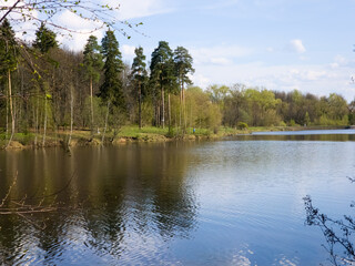 Fototapeta premium Tranquil Lakeside Scene With Lush Forest Reflections