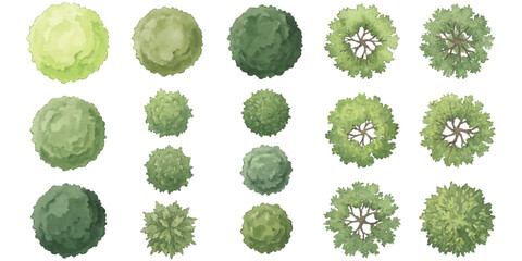 Set of top view green trees for architectural landscape design and garden site plans © ZenVectors