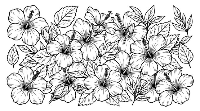 flowers botanical illustration with delicate line art leaves and blossoms covering the fra