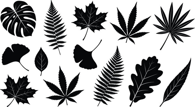 Collection of twelve different leaf silhouettes showing diverse plant species and shapes representing natural foliage variety and botanical design concept