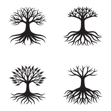 Four black silhouettes of trees with roots and various leafy branches on white background  tree silhouettes  roots visible