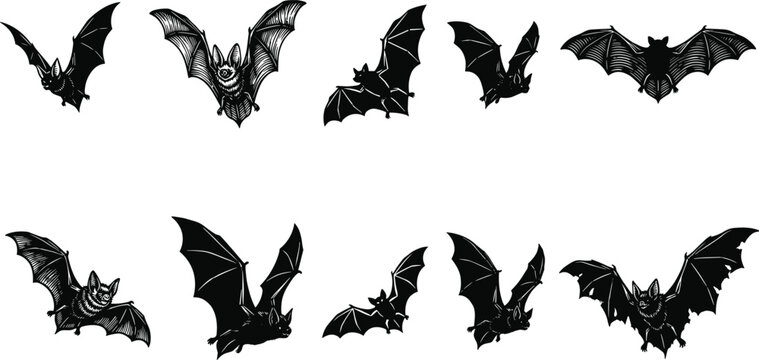 Collection of ten flying bats in black silhouette with spread wings representing nocturnal wildlife spooky atmosphere and Halloween design concept