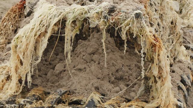 Traditional crab trap washed up on a sandy beach backdrop scenery stock footage