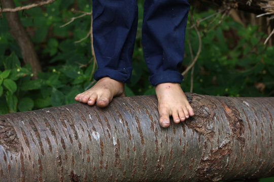 A childs feet on a tree log