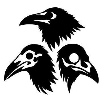 Silhouette of three crow skulls