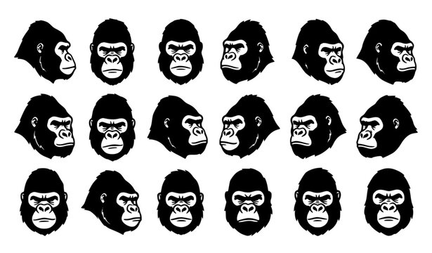 Gorilla and Ape Face Vector Silhouettes Showing 18 Expressions for Wildlife, Zoo, Mascot, and Stock Designs