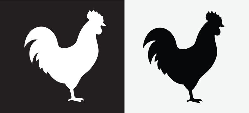 Black and white rooster silhouette icons set showing side profile of a farm chicken Vector
