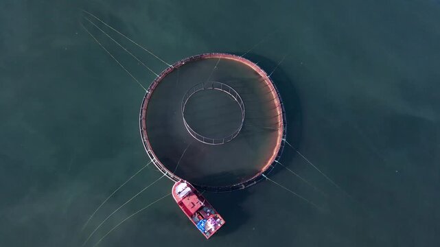 Footage of fish ponds, the main form of aquaculture. Salmon, sea bass, sea bream and trout are the most commonly grown fish in fish ponds used for commercial fishing in the sea, lakes and ponds.