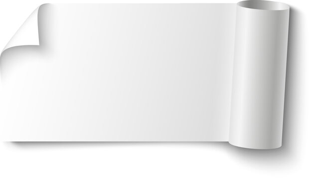 Blank white paper strip unrolling from scroll with curled page corner